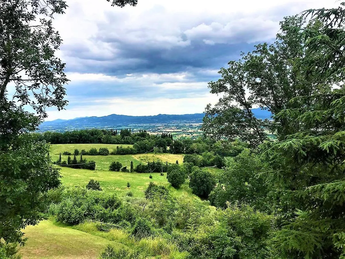 Guest house Danya Country Villa Sansepolcro