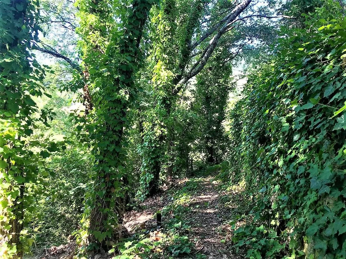 Danya Country Villa Sansepolcro 0*,